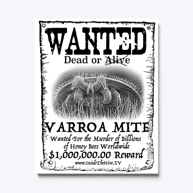 Wanted - Varroa Mite