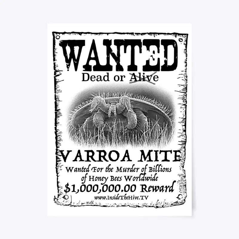 Wanted - Varroa Mite