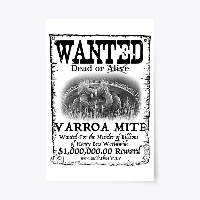 Wanted - Varroa Mite